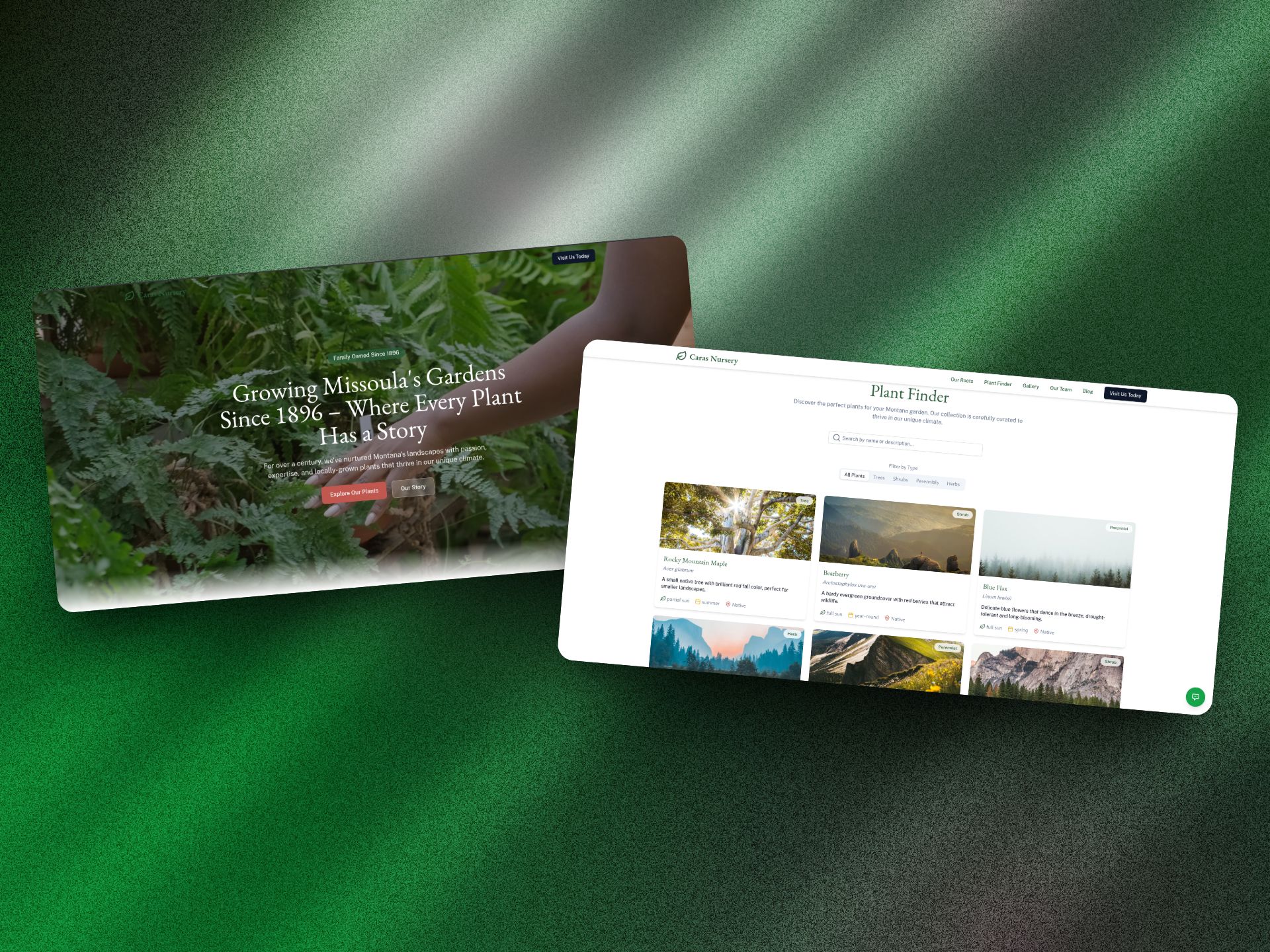 project header image